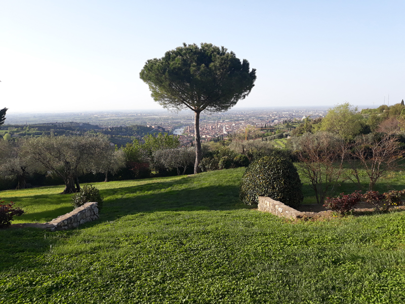 Valpolicella Giovanni Ederle