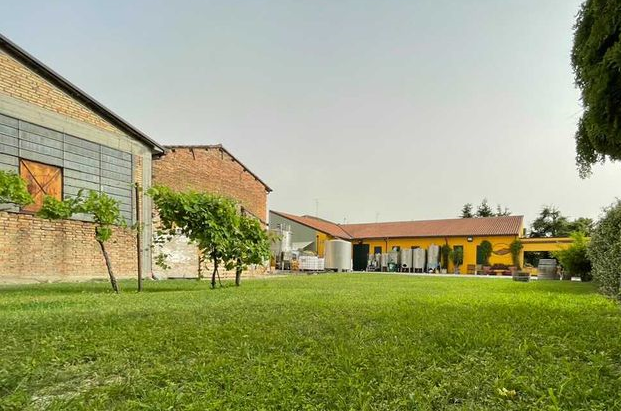 Tenuta Uccellina cantina