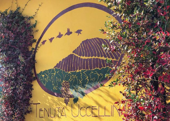 Tenuta Uccellina